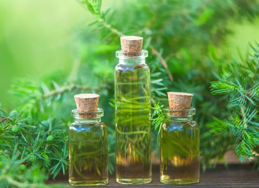 The Best Tea Tree Oils Of 2022