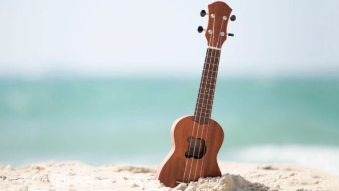 Which Type Of Ukulele Is Best For Beginners?