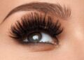 Black Collection Eyelashes